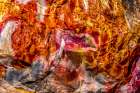 Red-orange and yellow petrified wood abstract-Blue Mesa-Petrified Forest National Park-Arizona Art Print